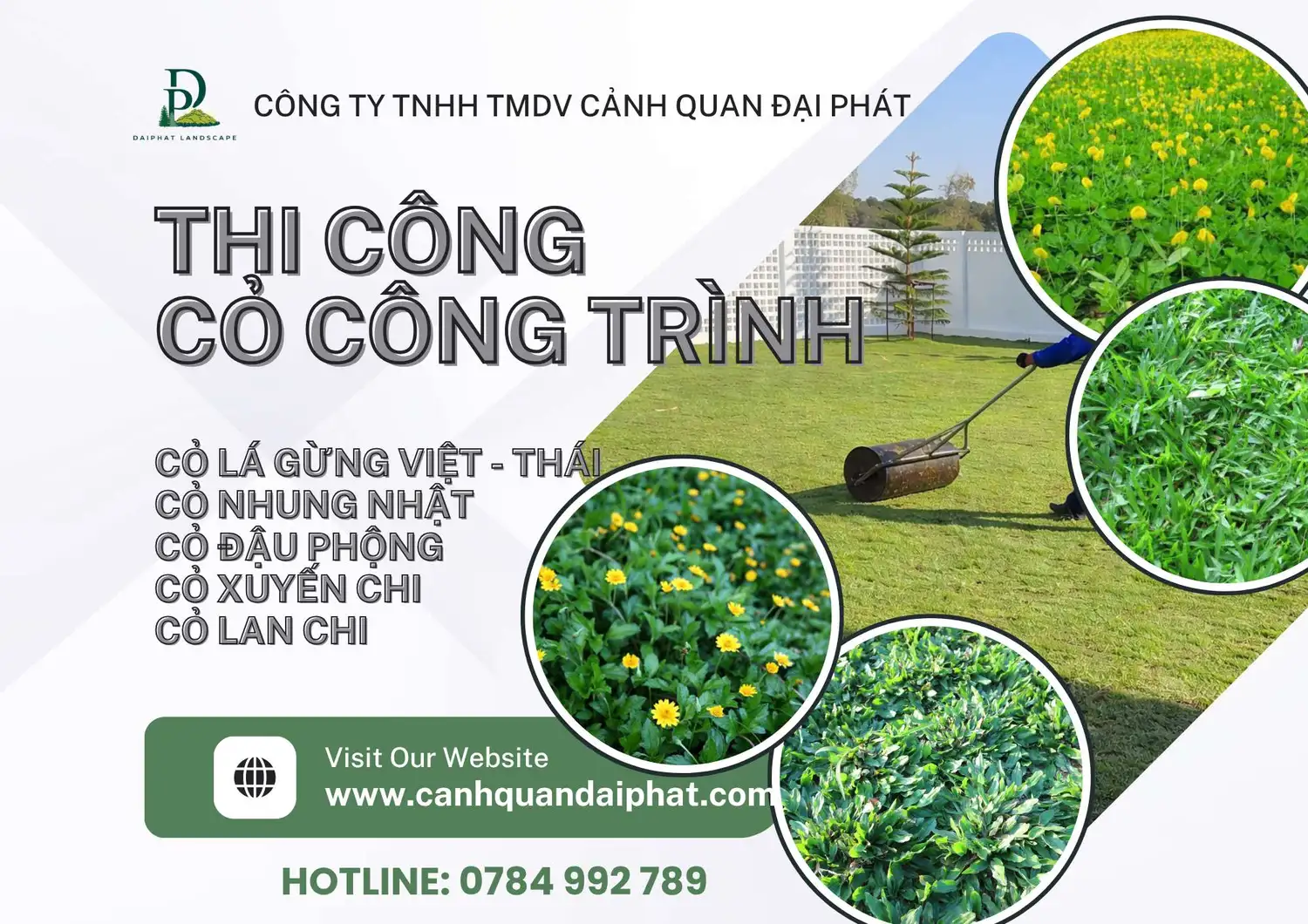 thi công cỏ lá gừng cỏ nhung nhật 170426 4.webp