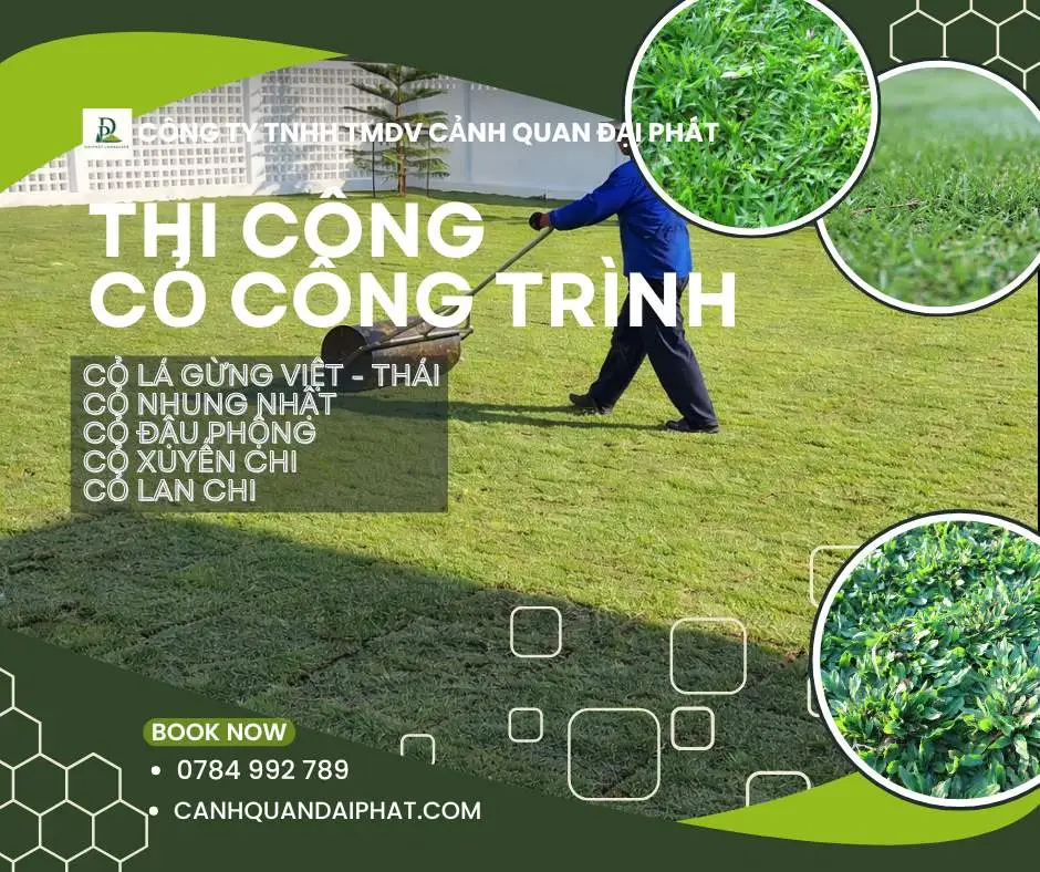 thi công cỏ nhung nhật nhà máy nhà xưởng Đồng Nai 7.webp