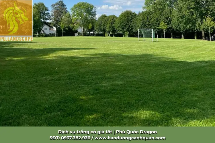 thi-cong-trong-co-tron-goi-dong-nai.jpg.webp