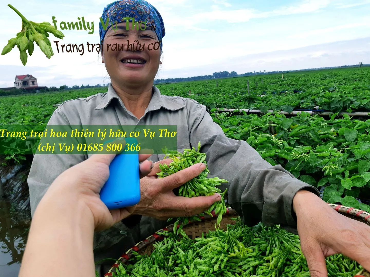 thiên lý 01685800366 (304).webp