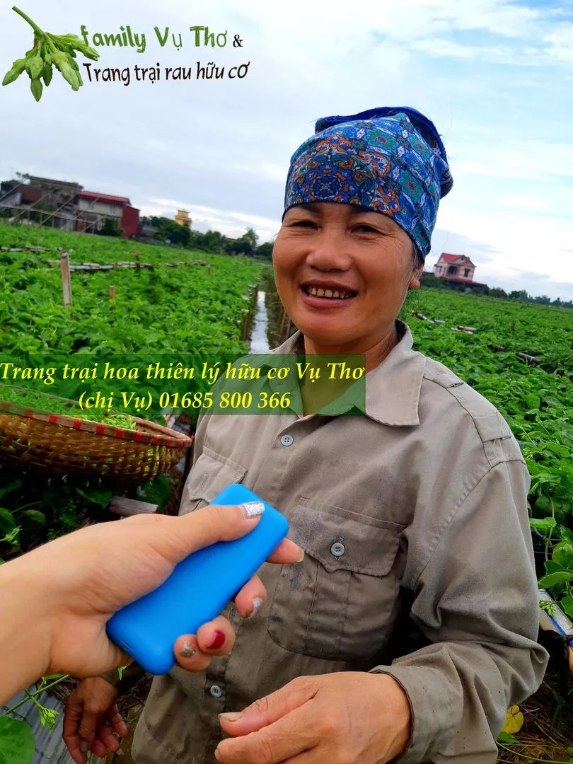 thiên lý 01685800366 (312).webp