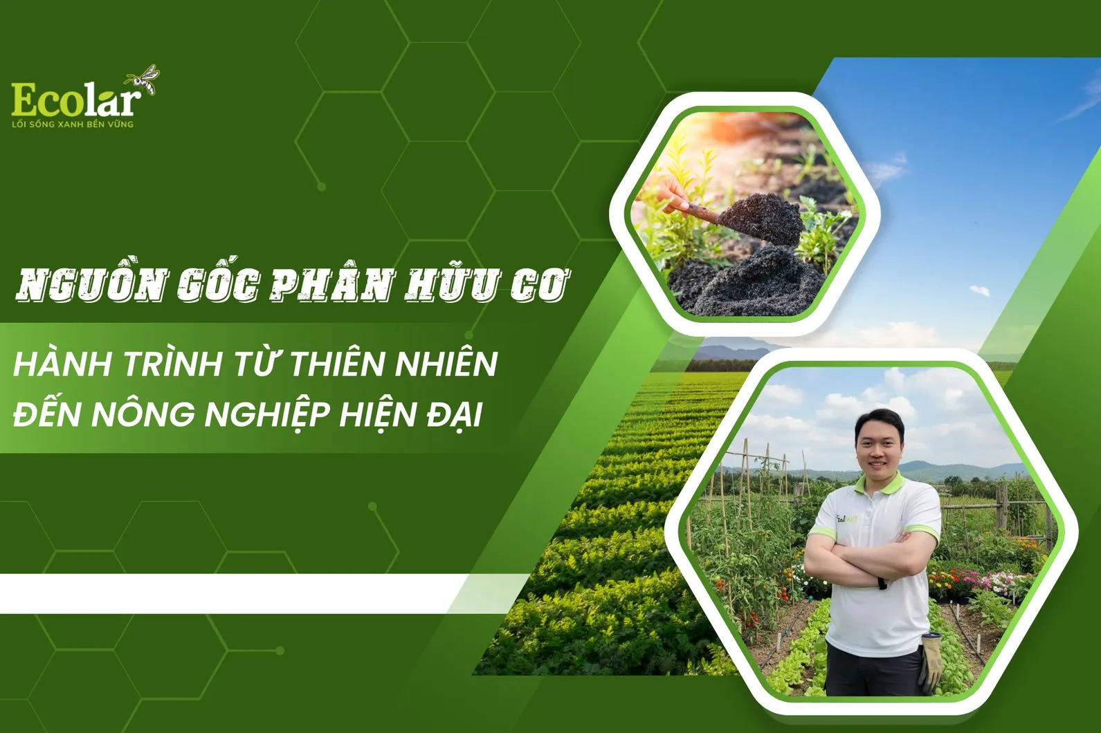 Thiết kế chưa có tên.webp