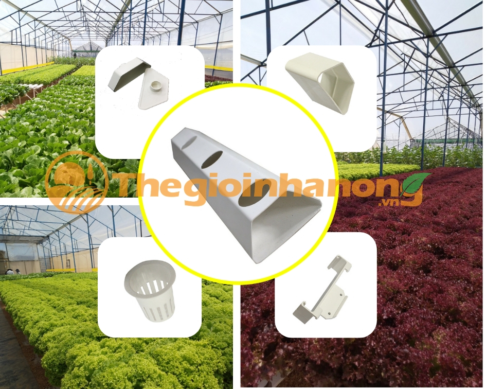 Thiết kế không tên.webp