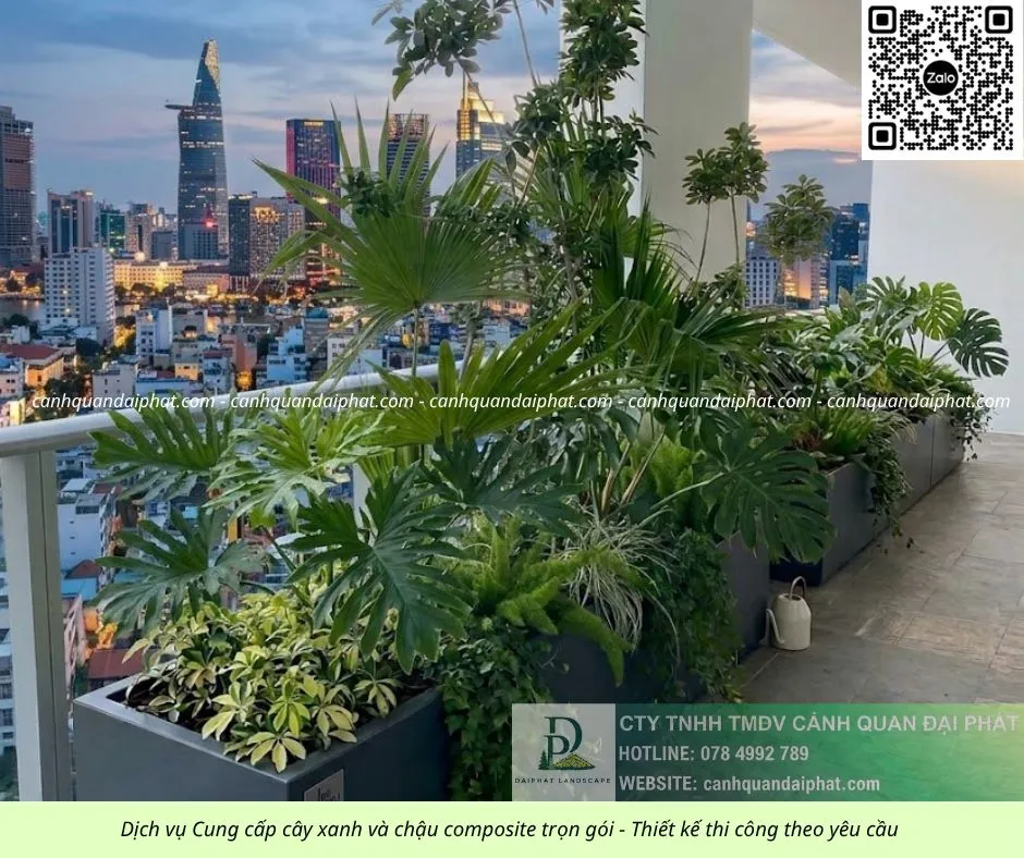 Thiết kế thi công cảnh quan chậu Composite 01052026 3.webp