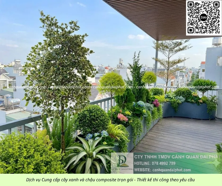 Thiết kế thi công cây xanh ban công - chậu composite 30426 1.webp