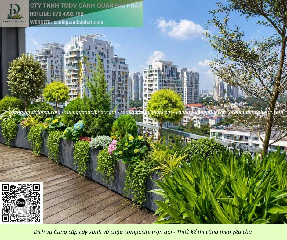 Thiết kế thi công cây xanh ban công - chậu composite 30426 2.webp