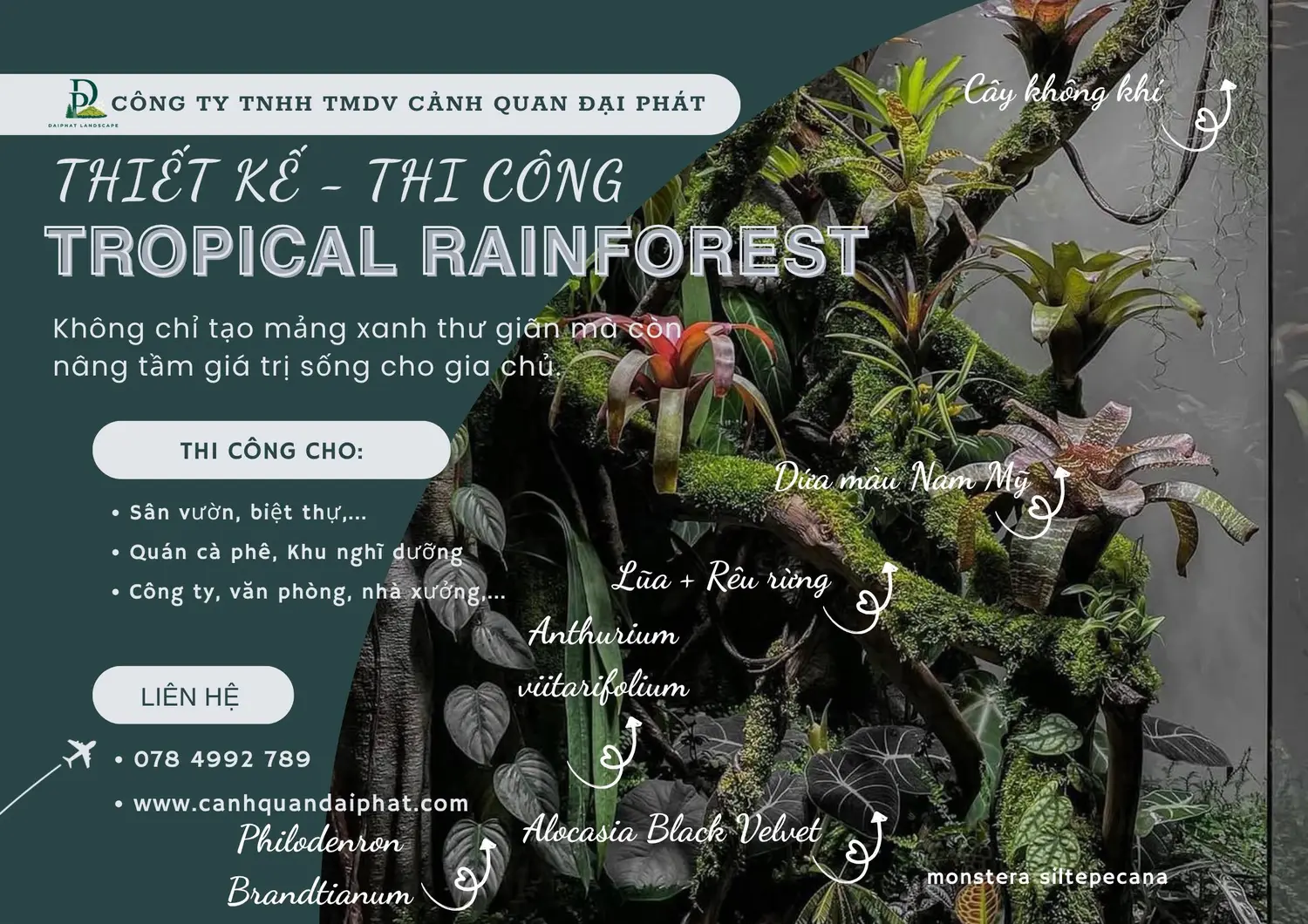 Thiết kế thi công sân vườn nhiệt đới 240426 2.webp