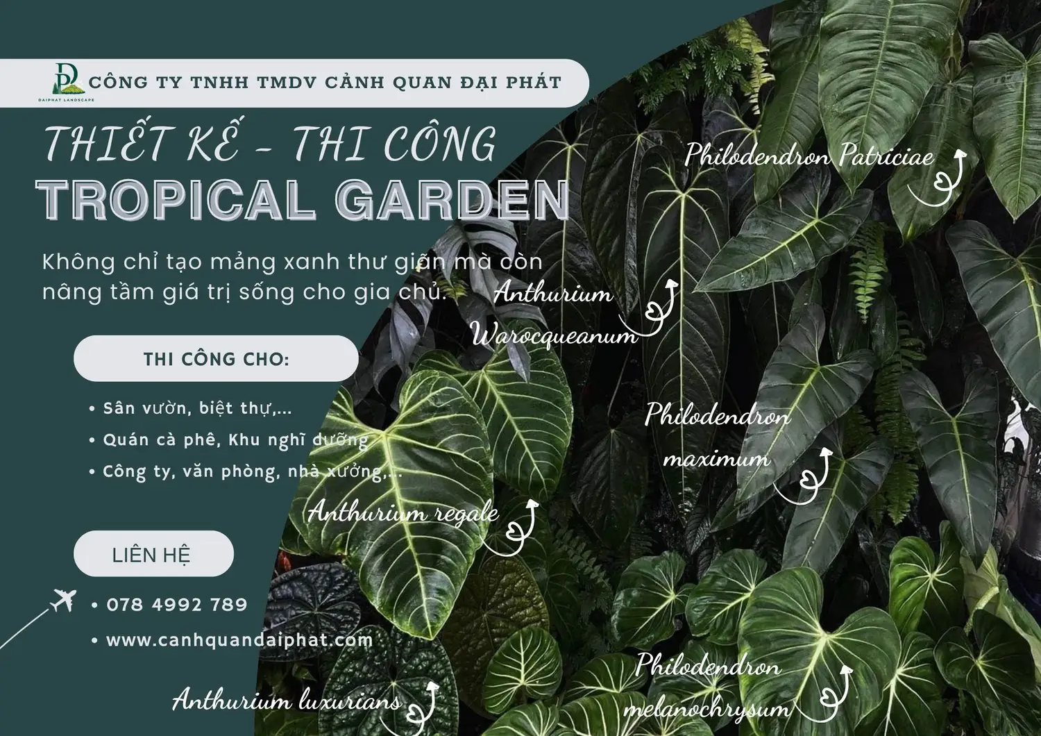 Thiết kế thi công sân vườn nhiệt đới 240426 3.webp