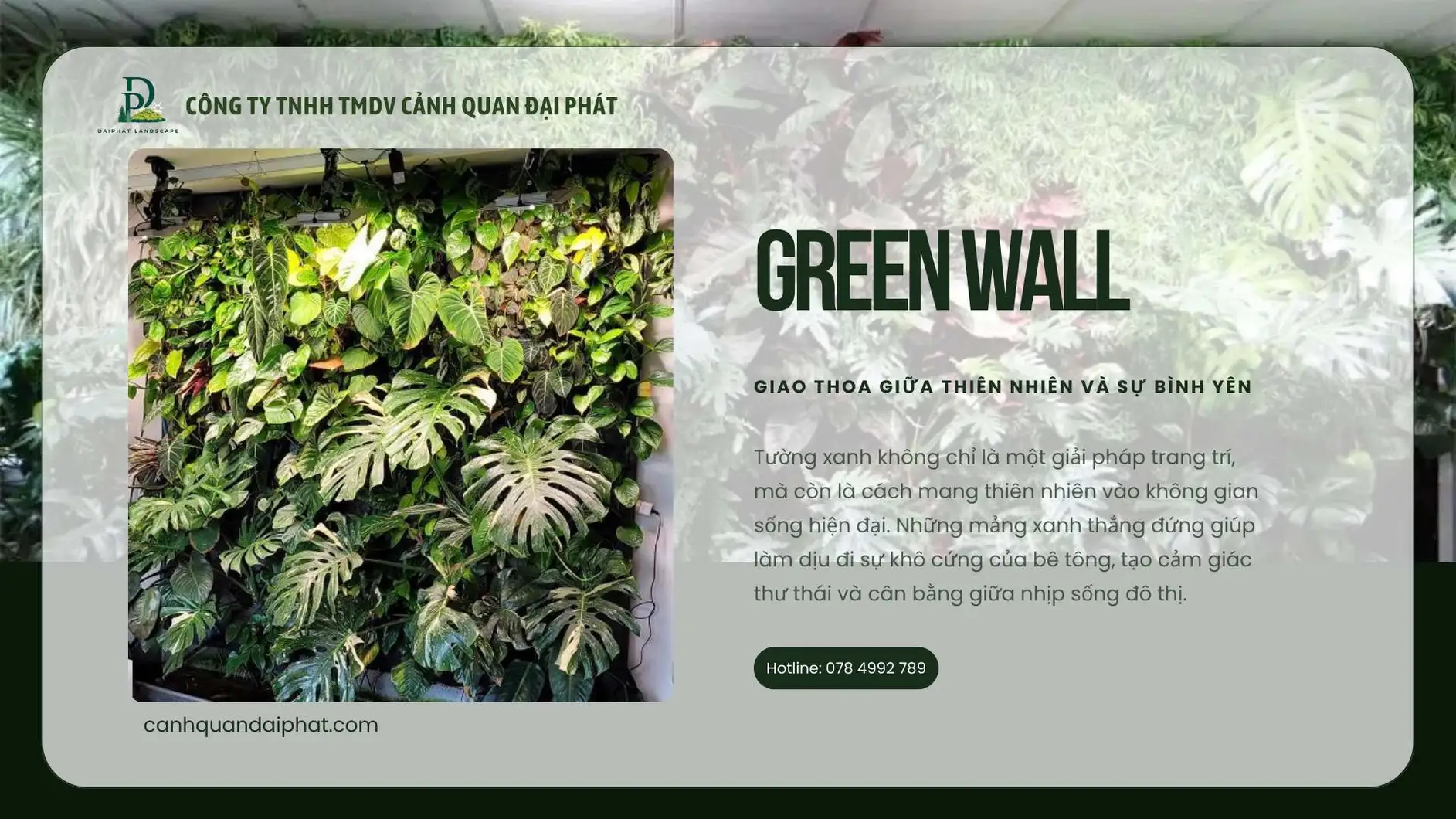 thiết kế thi công tường xanh vườn đứng 210126 10.webp