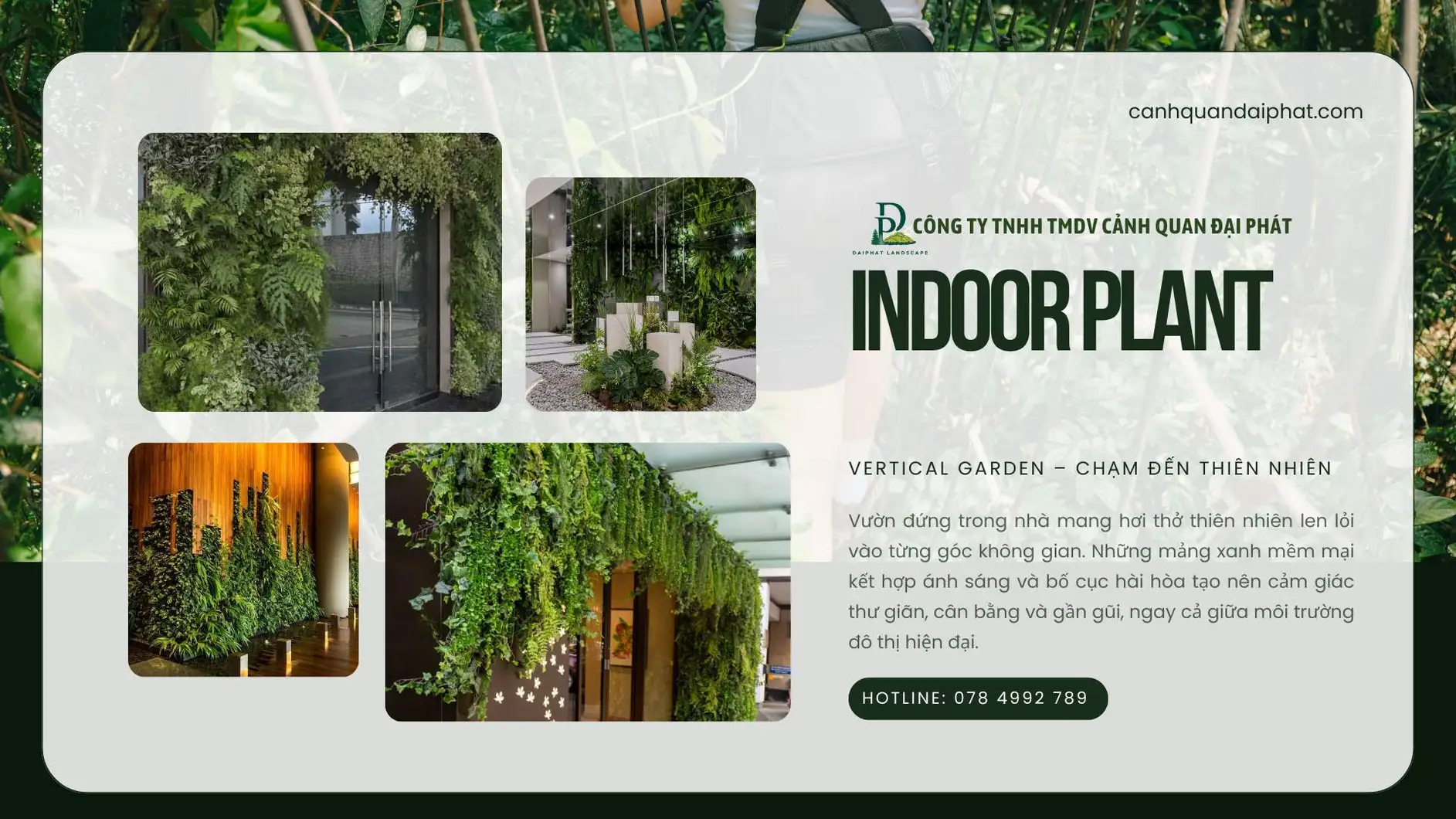 thiết kế thi công tường xanh vườn đứng 210126 12.webp