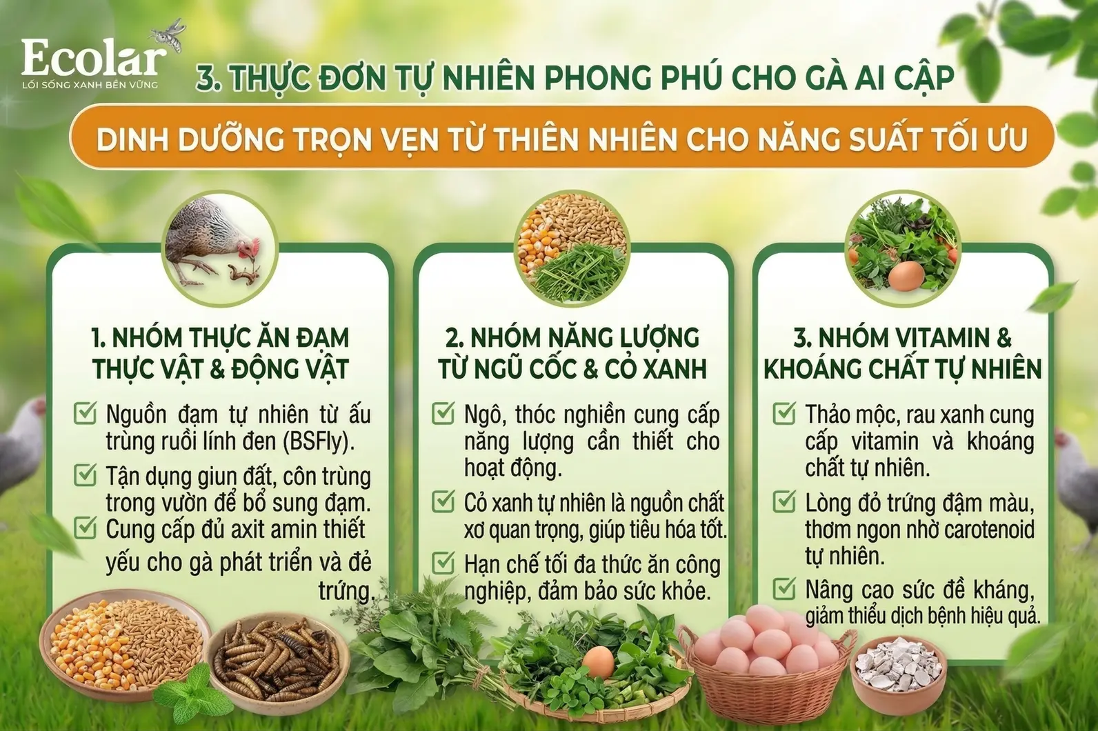thuc-don-tu-nhien-phong-phu_1d7d9461239942bf82cc9269300dc7cf.webp
