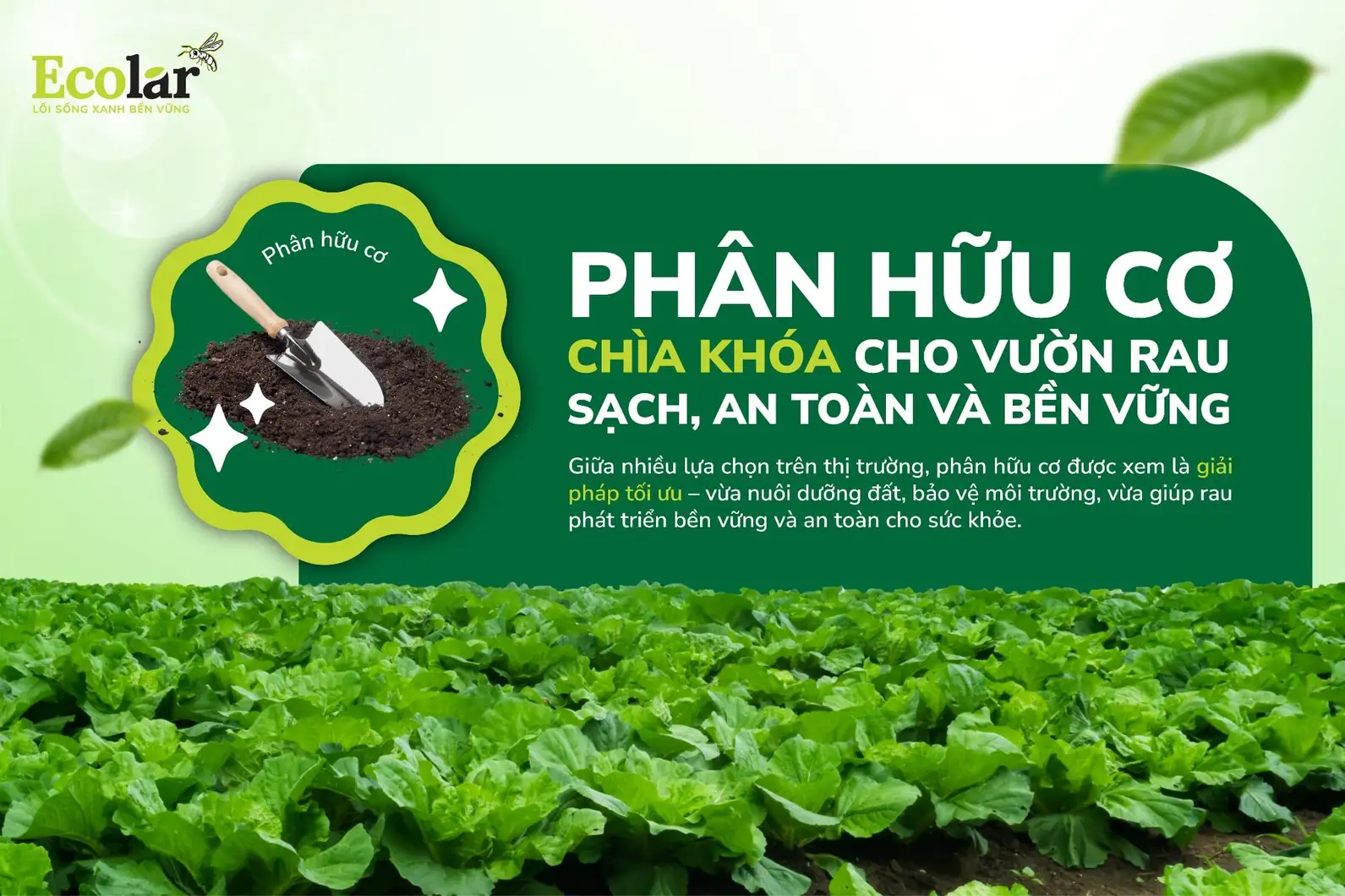 thumbnail-phan-huu-co-chia-khoa-cho-vuon-rau-sach-an-toan-va-ben-vung_a890376695d74246adcffd6...webp