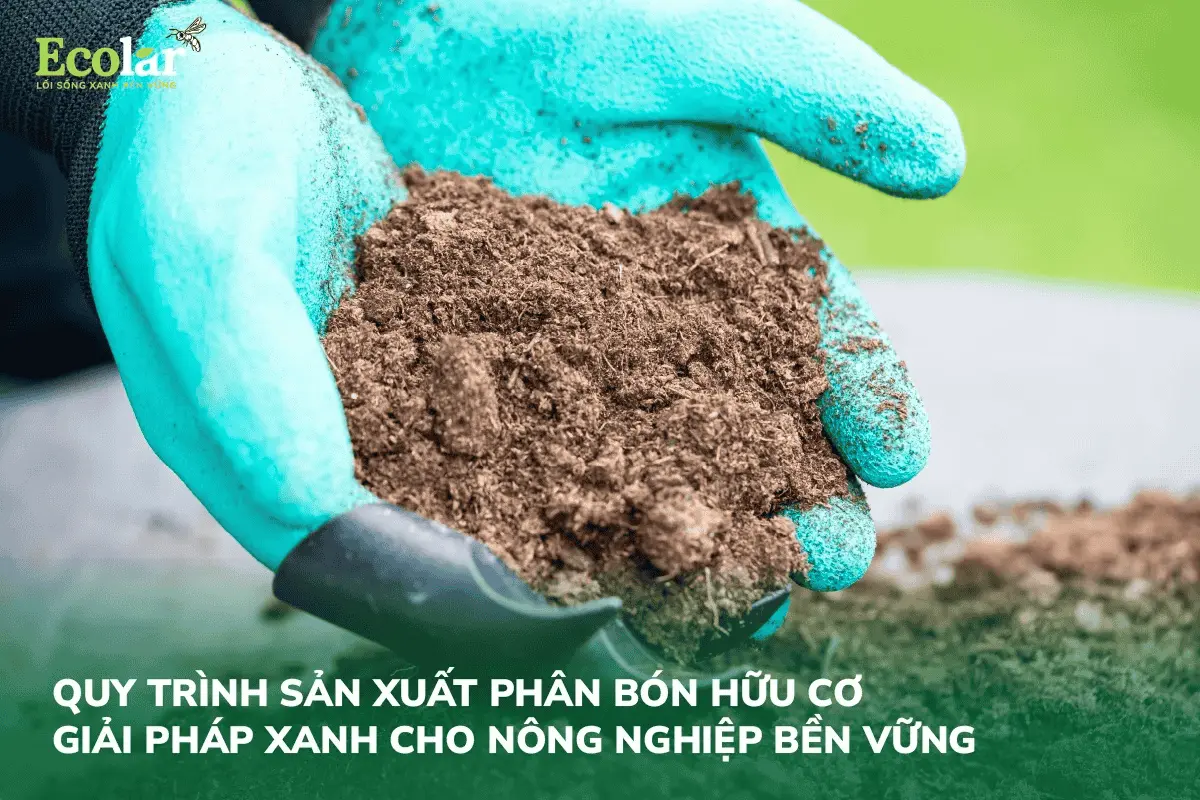 thumbnail-quy-trinh-san-xuat-phan-bon-huu-co_8e818fbc7ee14506966d1957cbef8b17 (1).webp