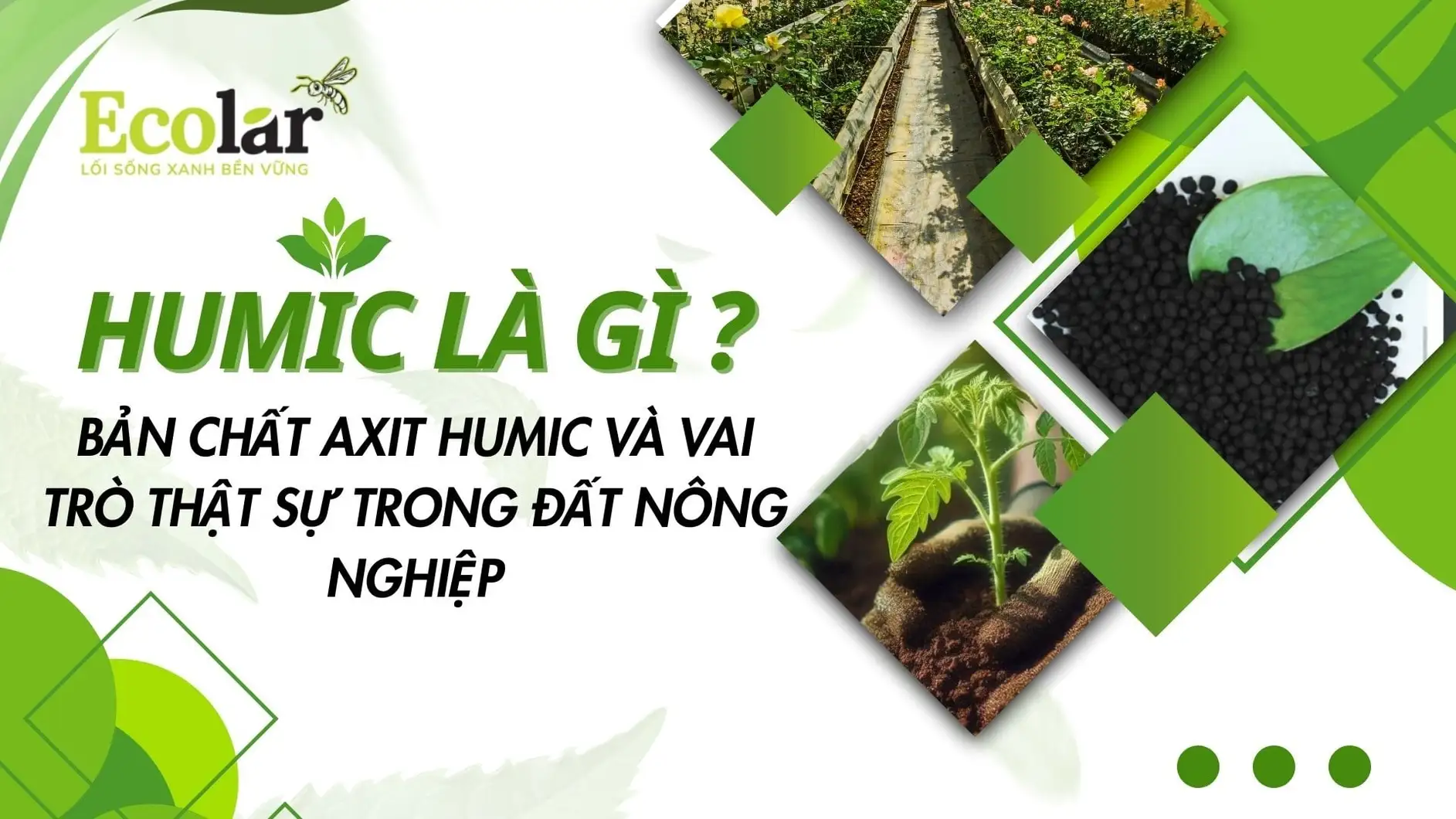 thumnail-humic-la-gi_098d8a839f124f99acd36e4fe2567955.webp