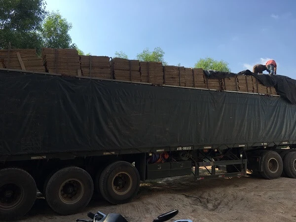 thung jet dong trai cay 1.webp