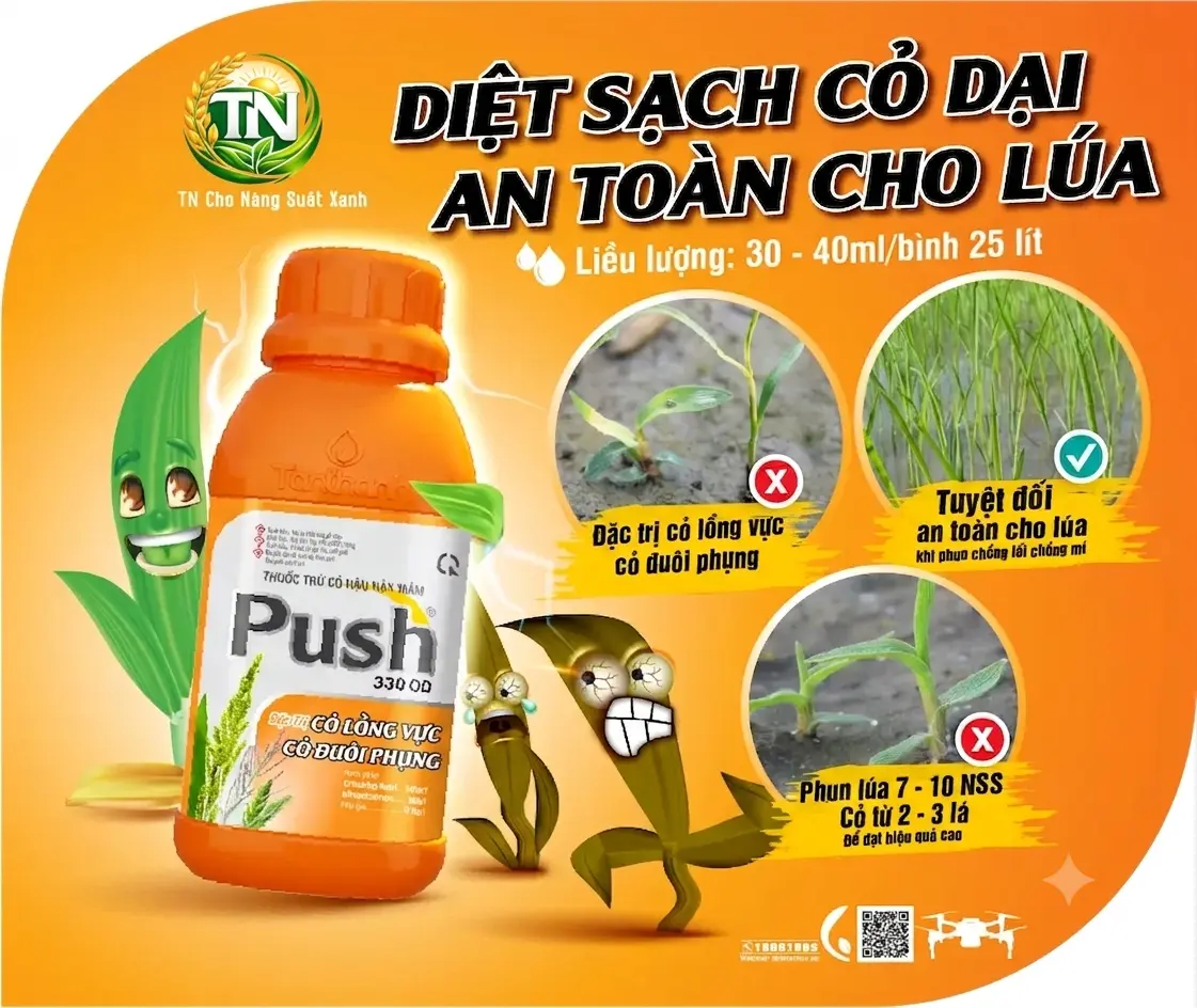 thuoc-diet-oc-1.webp
