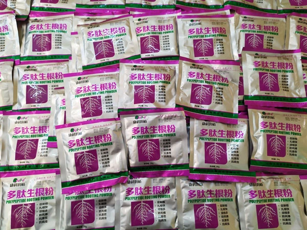 thuoc sieu kich re trung quoc.webp