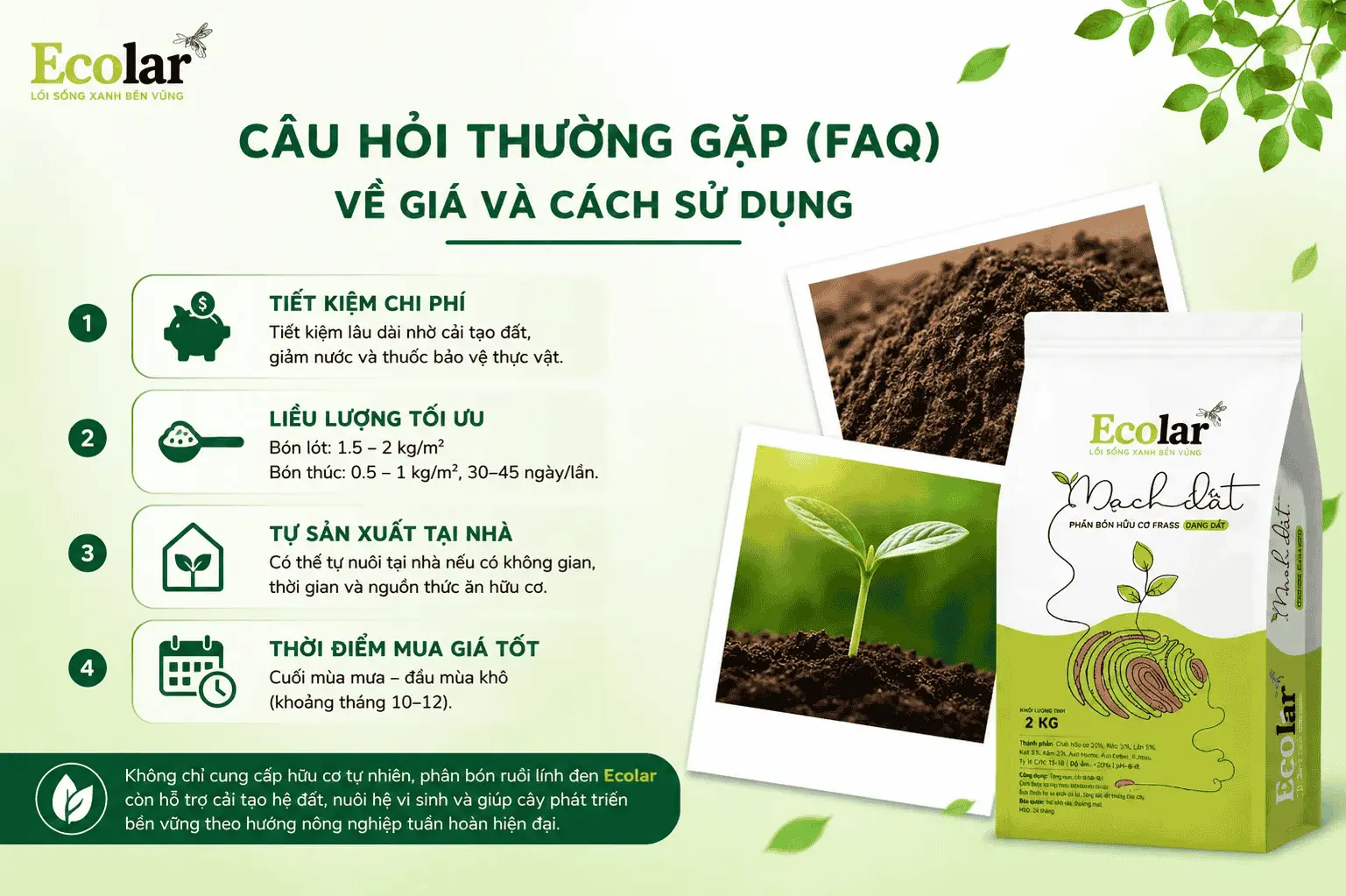 thuong-gap-faq-ve-gia-va-cach-su-dung_4ab1acf0c3eb495180a6e6dc177f1707 (1).webp