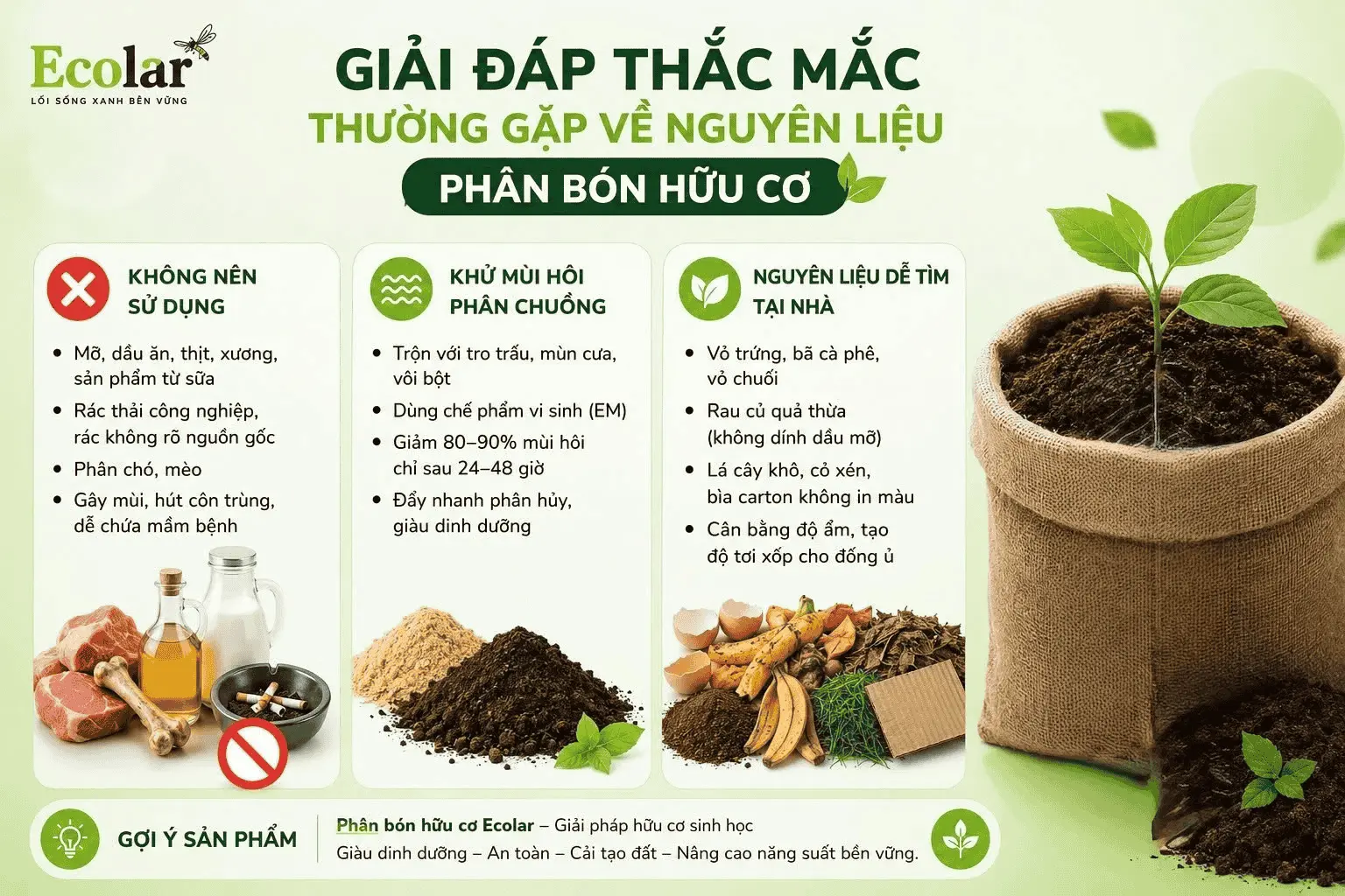 thuong-gap-ve-nguyen-lieu-phan-huu-co_1da53e2d4cc34e5ea9fef9fa14f201e5 (1).webp