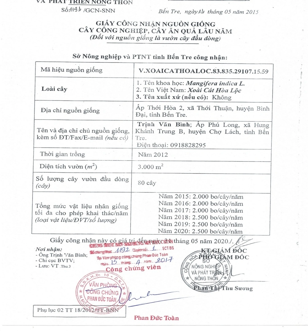 tieu chuan giong xoai.webp