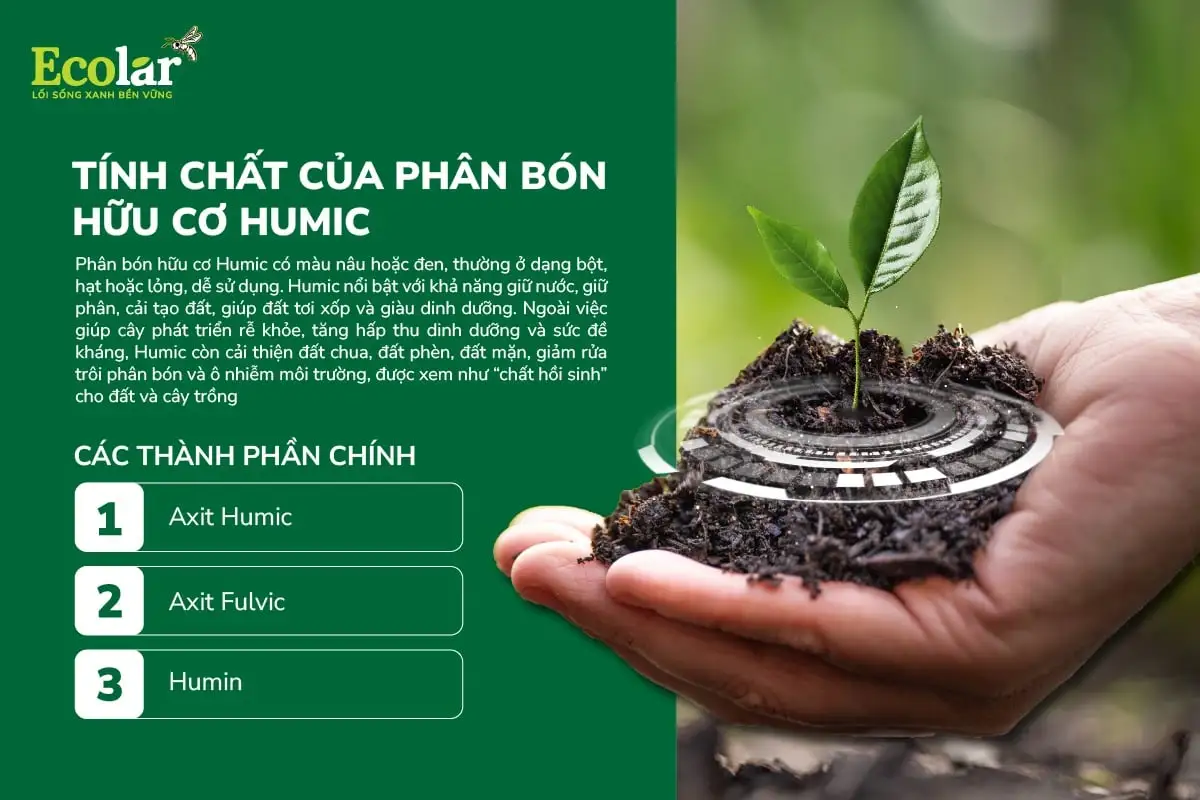 tính chất humic.webp