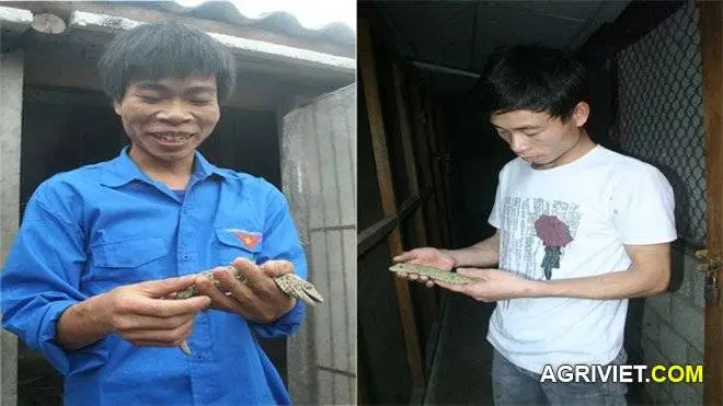 Quý lắm đó, phải là người tiên phong mới chuyển giao được đó nha! ...>"<