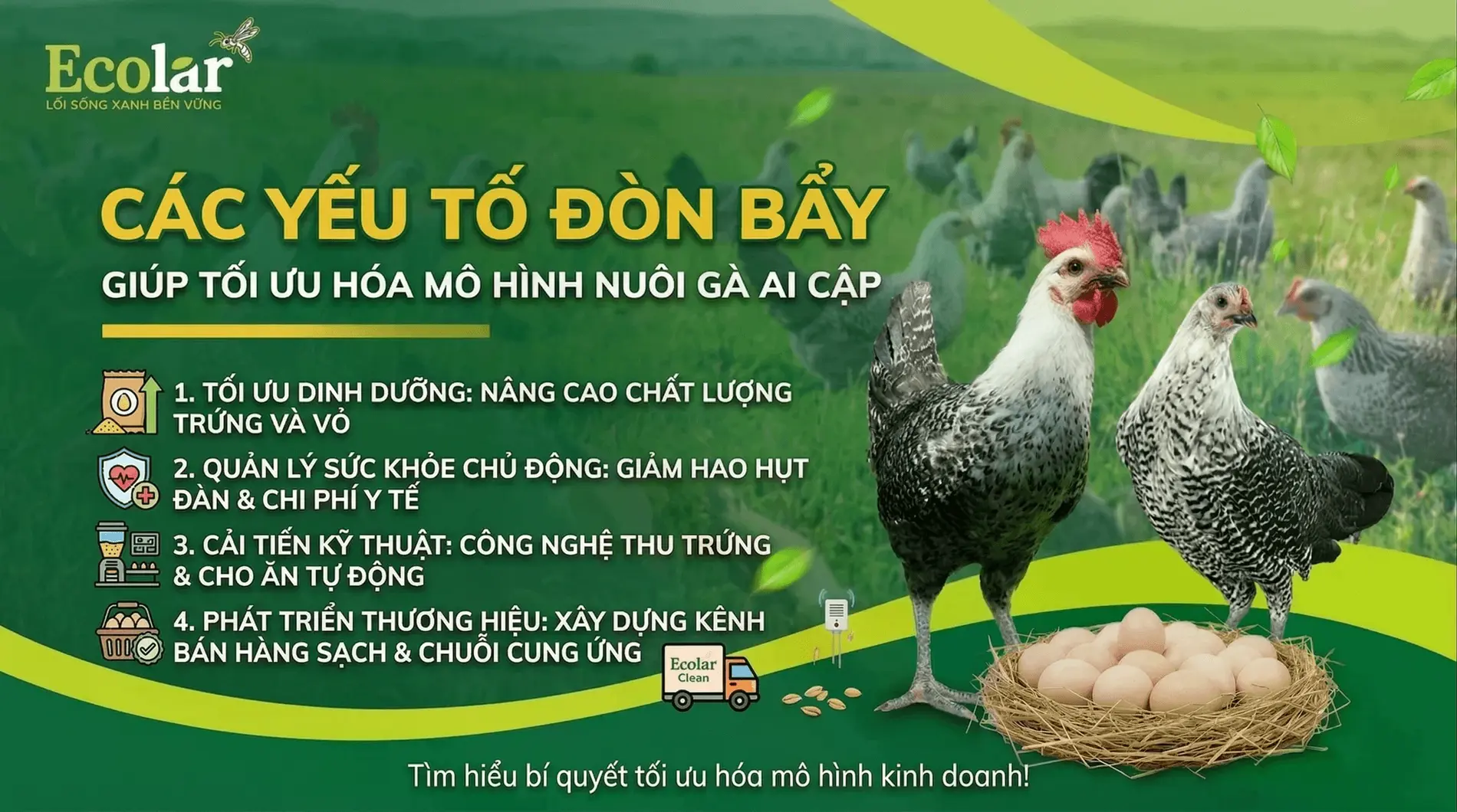 toi-uu-hoa-mo-hinh-kinh-doanh-da-chon_25acb9d7d5b04e8ca64e59dc1c4d0c9c (1).webp
