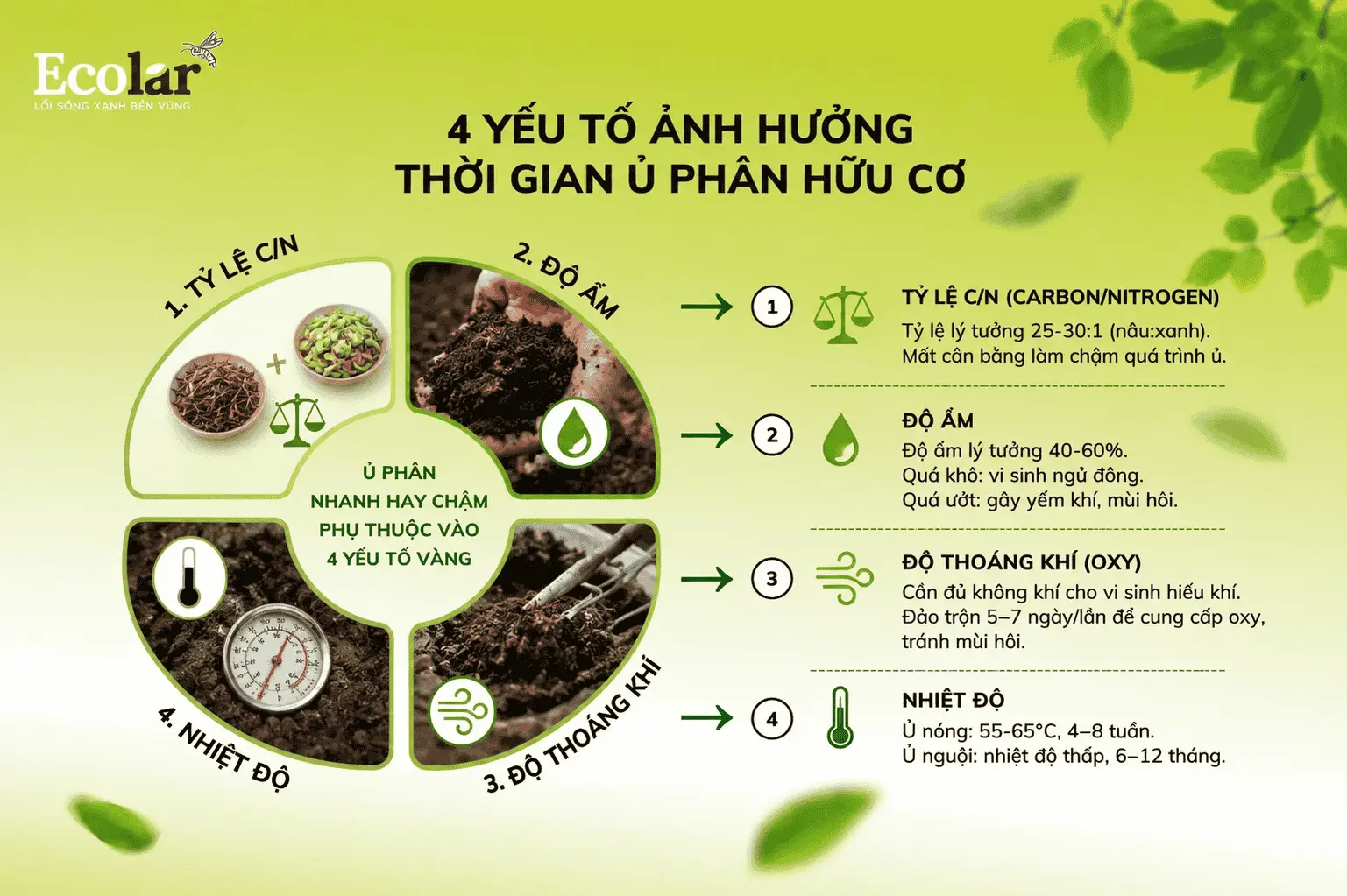 tra-loi-nhanh-va-tai-sao-no-phuc-tap__7089815d513e4a13930aa2df5b8c9423 (1).webp