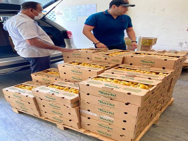 trai cha la barhi 2.webp