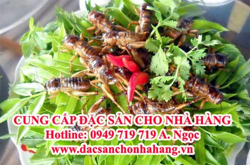 trai-de546 copy.webp