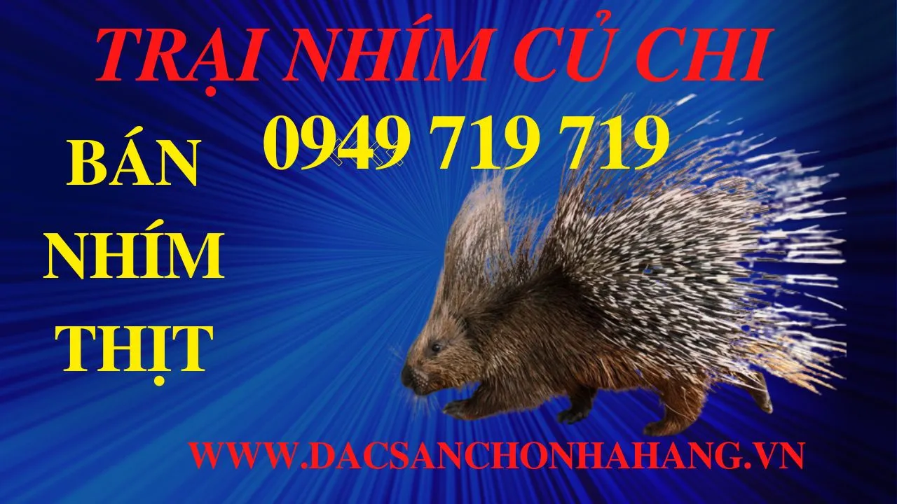 trại nhím củ chi(1).webp