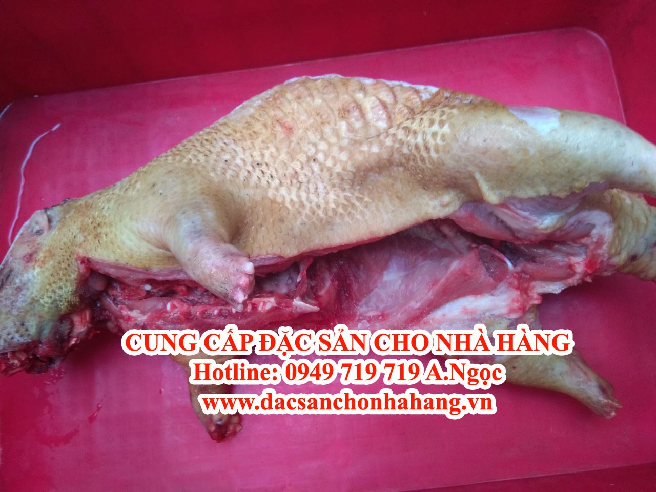 trai nhim thit cho nha hang.webp