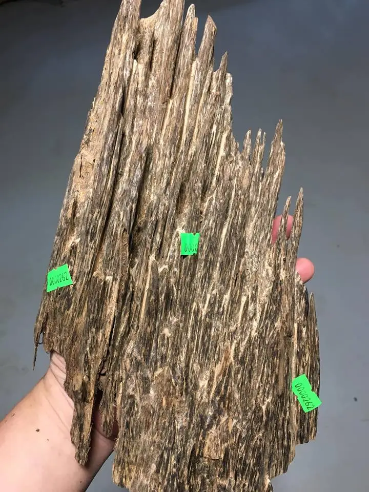 trầm miếng 01.webp