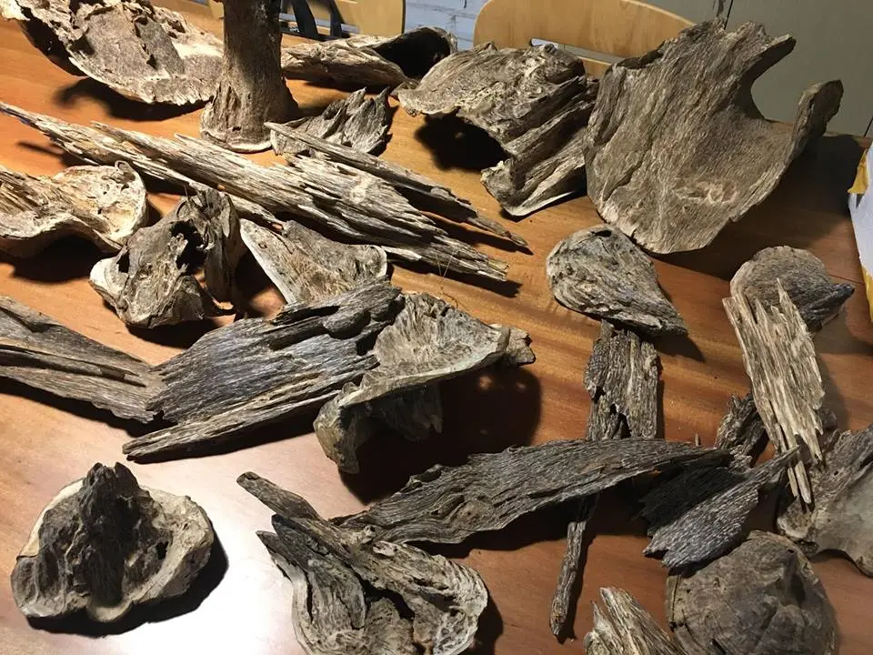 trầm miếng 06.webp