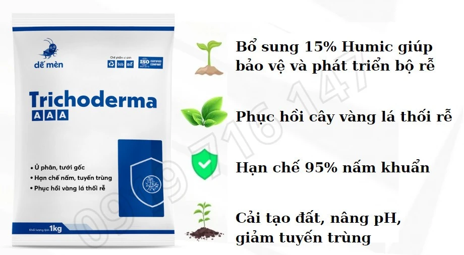 Trichoderma phòng 90% nấm bệnh ở cây trồng
