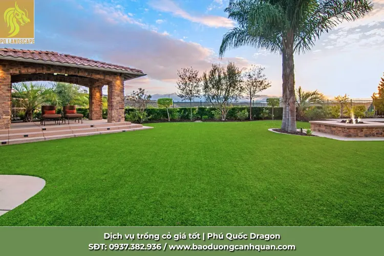 trong-co-paspalum-dong-nai.jpg.webp