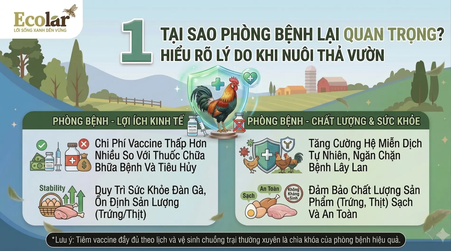 trong-hon-chua-benh-khi-nuoi-tha-vuon_cd4861037b1846579abdc4f9aa2285fc.webp