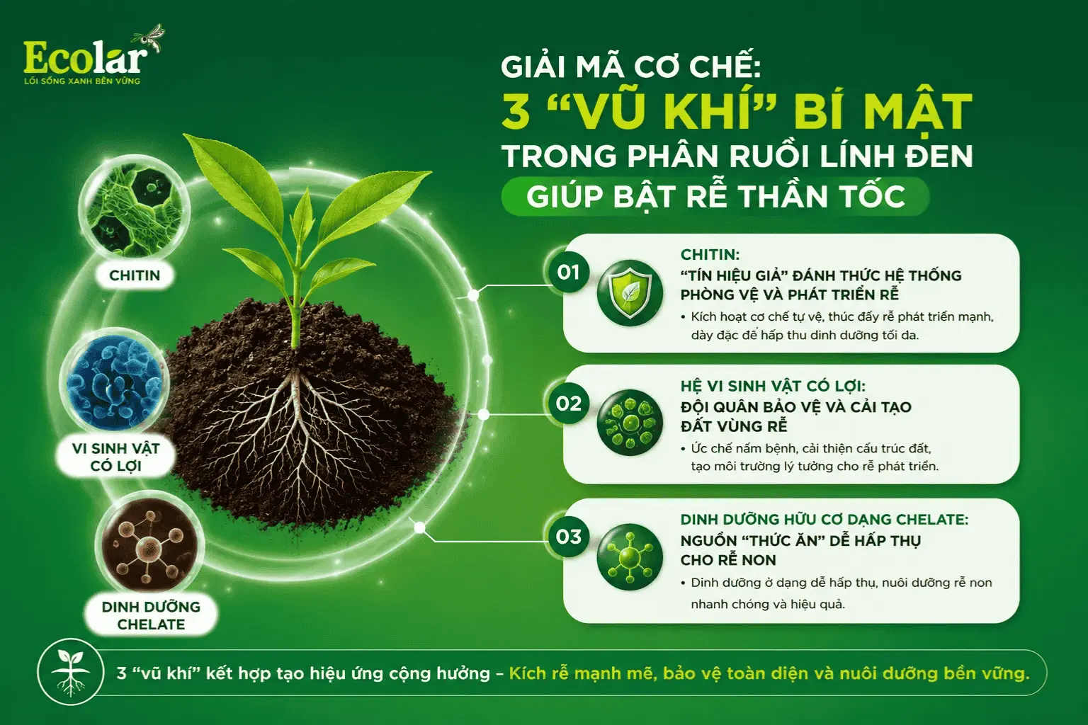 -trong-phan-ruoi-linh-den-giup-bat-re_aed0a9a0efea4ead8cbb4642ba6c9d20 (1).webp