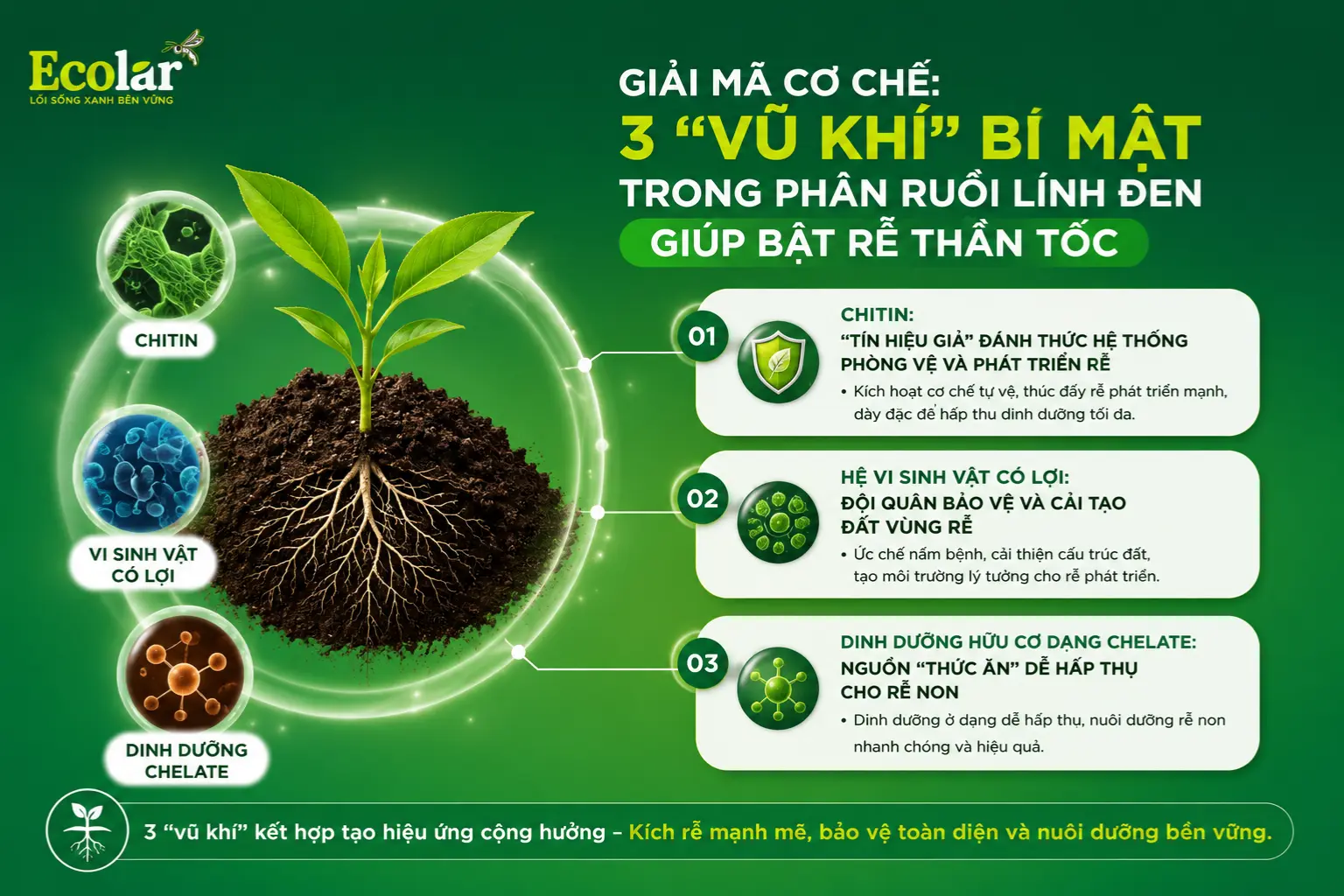 -trong-phan-ruoi-linh-den-giup-bat-re_aed0a9a0efea4ead8cbb4642ba6c9d20.webp
