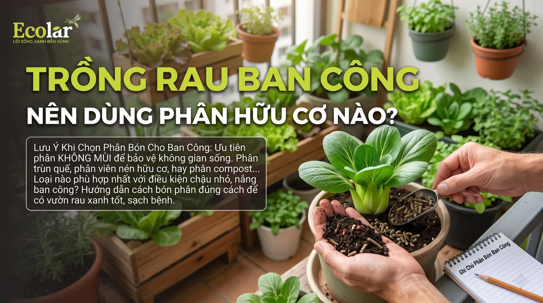 trong-rau-ban-cong-nen-dung-phan-huu-co-nao-tot-nhat_73e728ebd8c947e9aeabb2a1321d08d9.webp