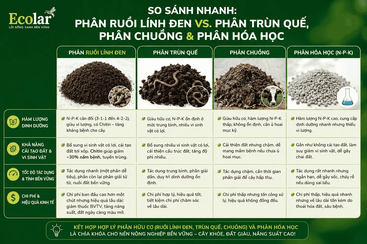 -trun-que-phan-chuong-va-phan-hoa-hoc_480adcf0e7d54a1bbe598bb143c5584c (1).webp