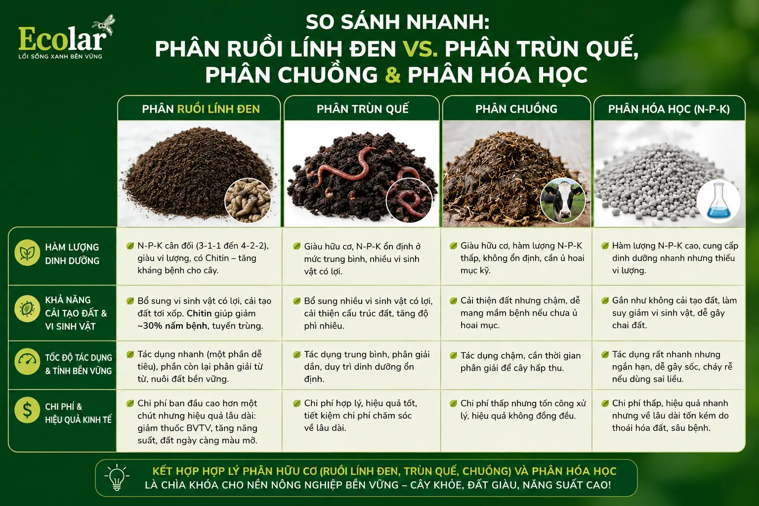 -trun-que-phan-chuong-va-phan-hoa-hoc_480adcf0e7d54a1bbe598bb143c5584c.webp