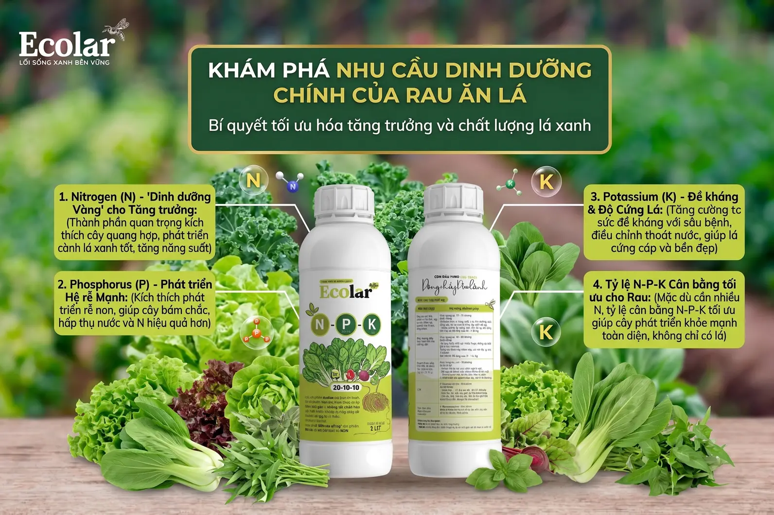 -trung-vao-nitrogen-va-ti-le-can-bang_06422156357641ee92a1fc9caa305d5f.webp