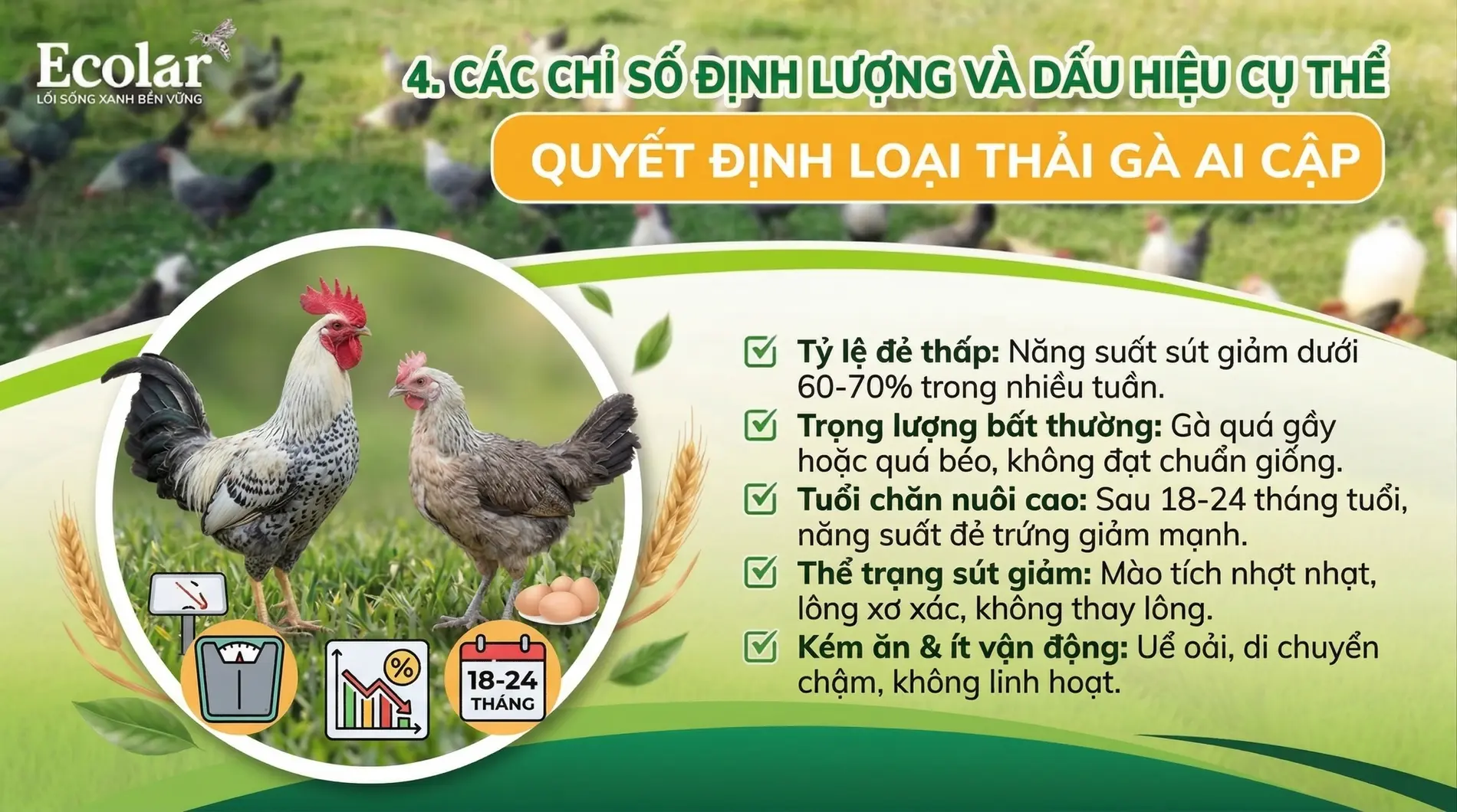 u-hieu-cu-the-de-quyet-dinh-loai-thai_9f253fd25e624d02aff7e8d0f20cdfaa.webp