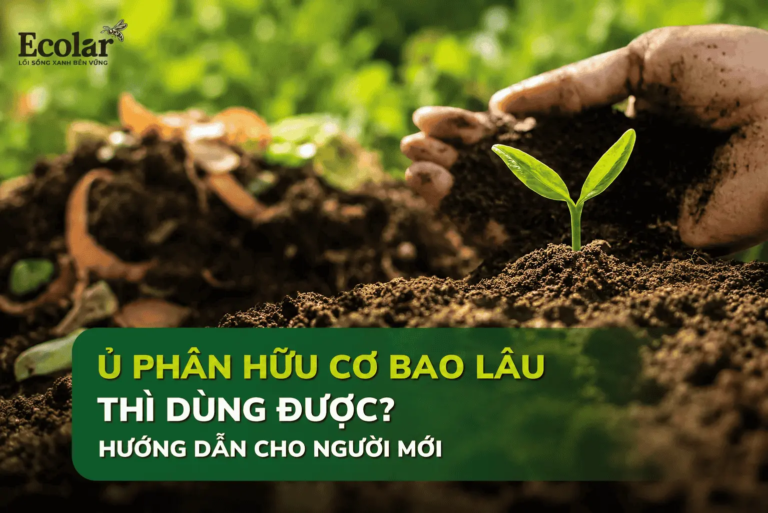 u-phan-huu-co-bao-lau-thi-dung-duoc-huong-dan-cho-nguoi-moi__6a8589a1ab5c4a4b90edaa8f9c45a568...webp