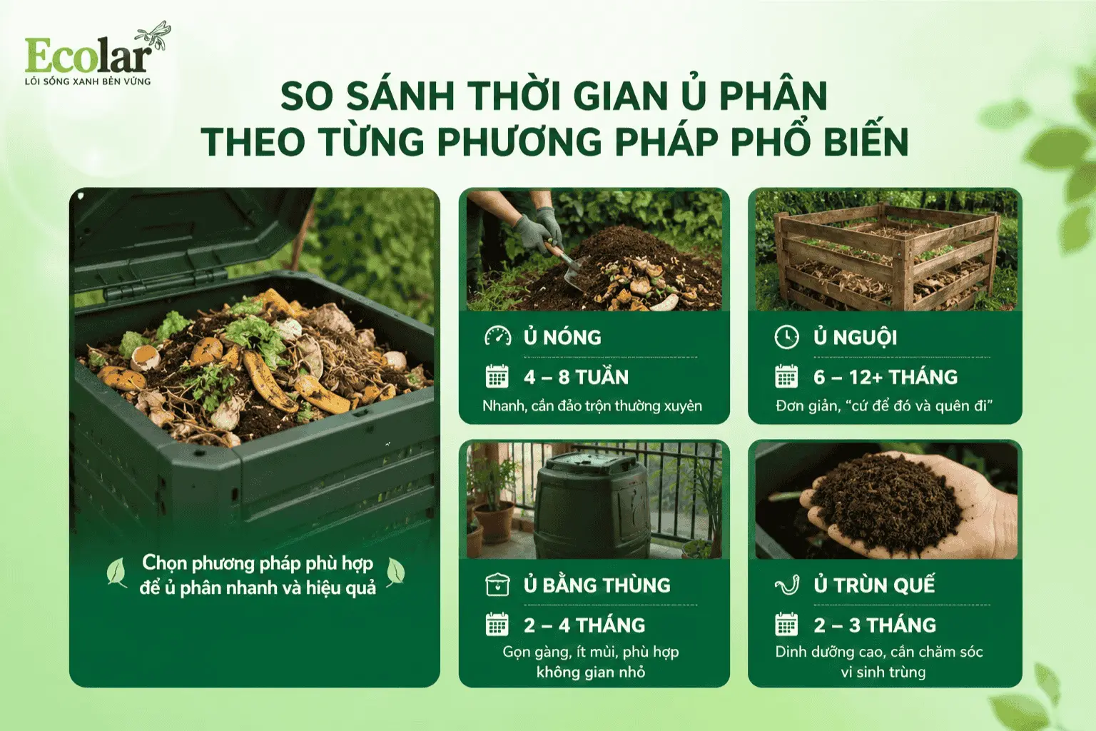 u-phan-theo-tung-phuong-phap-pho-bien_578476bbe3c7447c9371efaecde2bd71 (1).webp