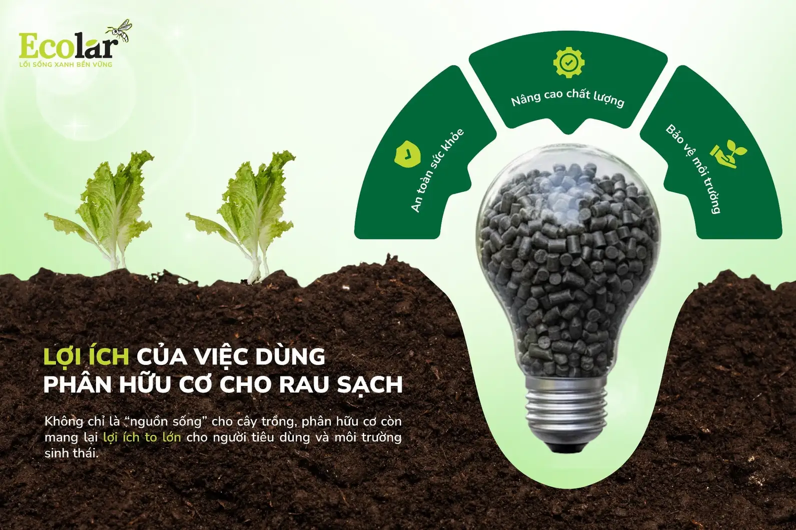 ua-viec-dung-phan-huu-co-cho-rau-sach_23296f4989ef4aa88121b5db495cc5b4.webp