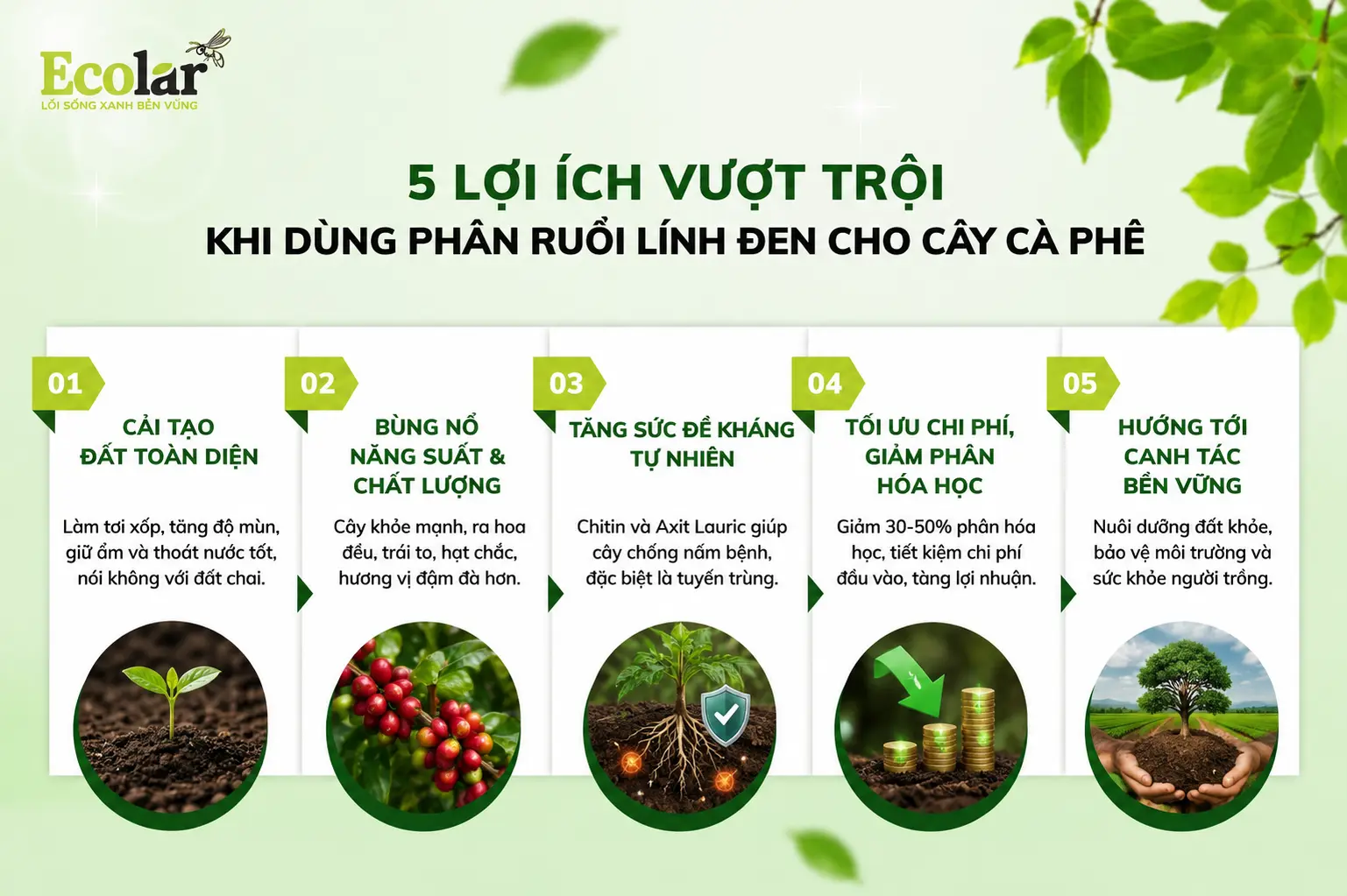 ung-phan-ruoi-linh-den-cho-cay-ca-phe_dcaac11c313a44a581952447f31d6ada.webp