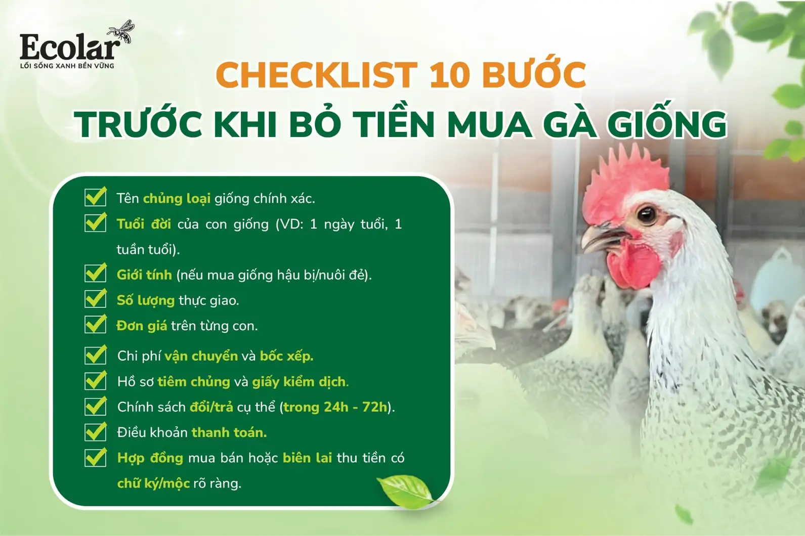 uoc-khi-bo-tien-mua-ga-giong-01-01-01_9480a91486d144e696148022e74eca6b.webp