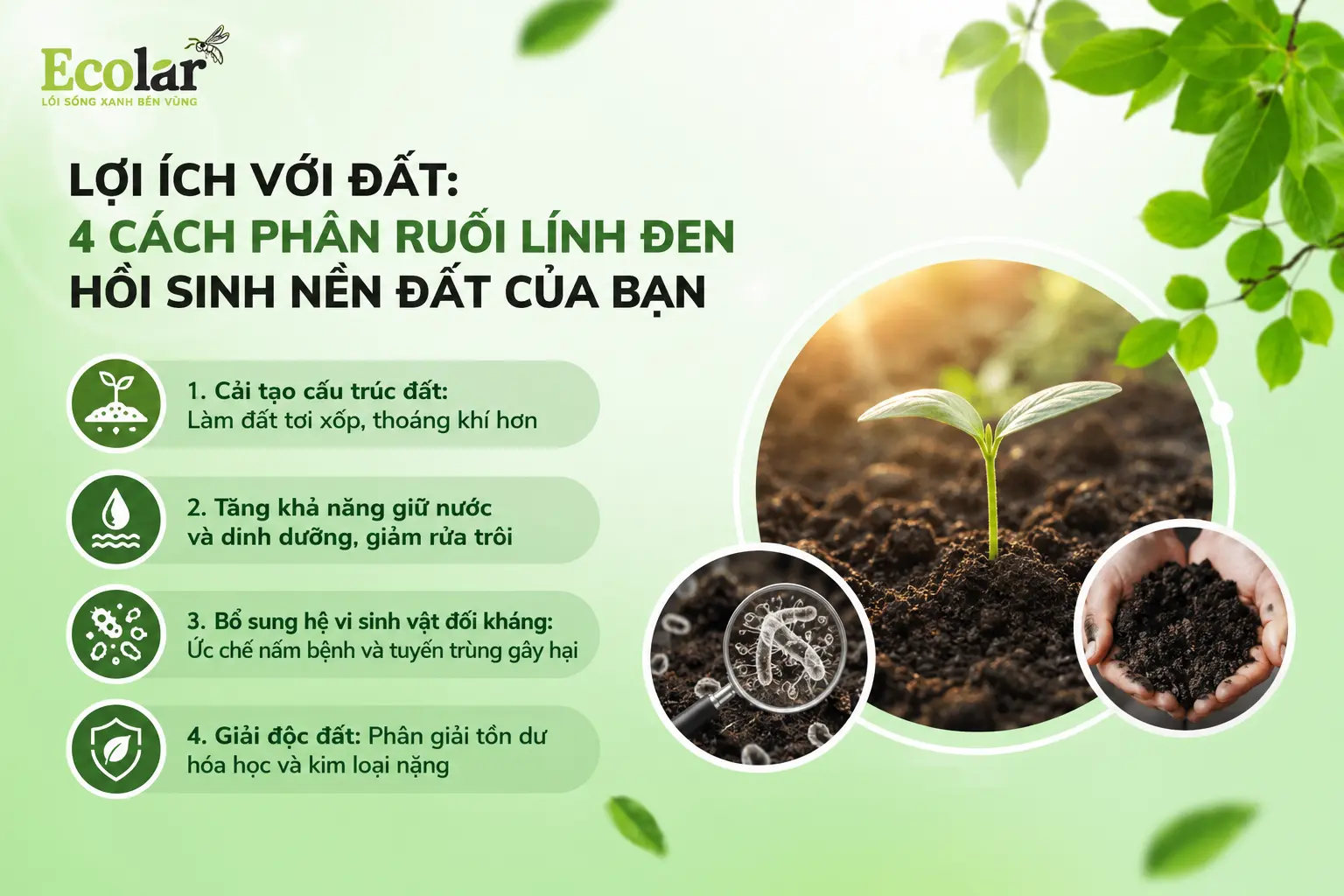 uoi-linh-den-hoi-sinh-nen-dat-cua-ban_38a880eb19bd4b8ea0c4c0a352ad075b.webp